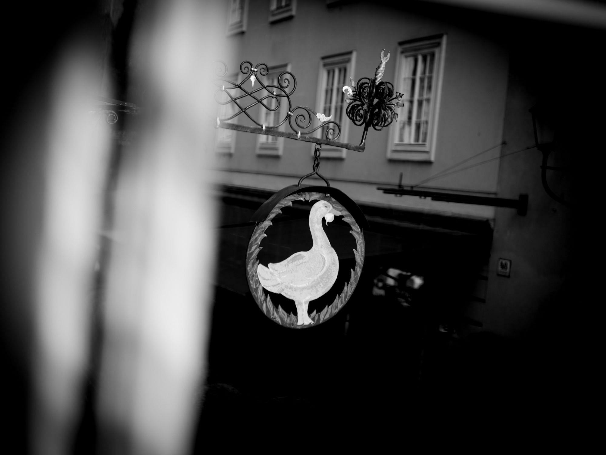 Arthotel Blaue Gans 4* Salzburgo